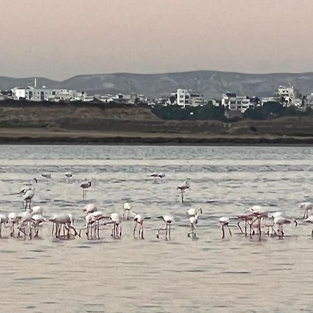 לרנקה Salt Lake מראה חיצוני תמונה